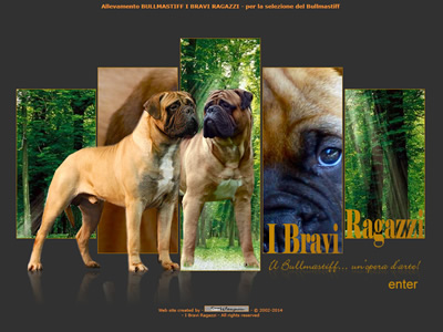 Allevamento Bullmastiff I Bravi Ragazzi